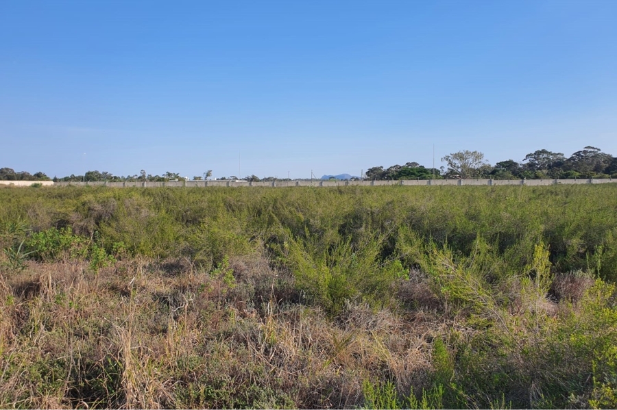 0 Bedroom Property for Sale in Greenbushes Eastern Cape